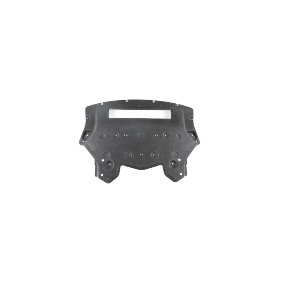 Genuine BMW 51758056725 Engine Encapsulation, Front X5/6 (Inc. X5 & X6 M)