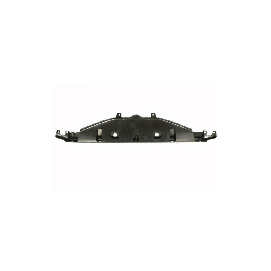 Blic 6508-05-0067200P Front Cowling for BMW 5 Series