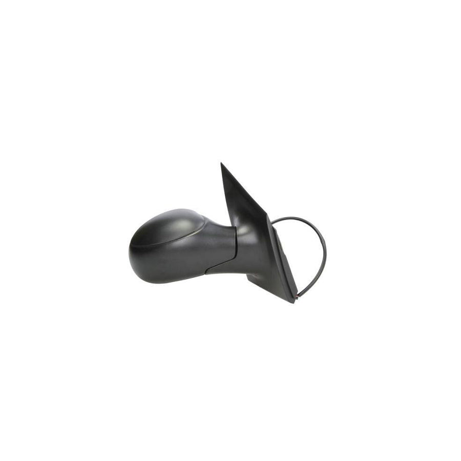 Blic 5402-04-1128853 Wing Mirror for Citroen C2