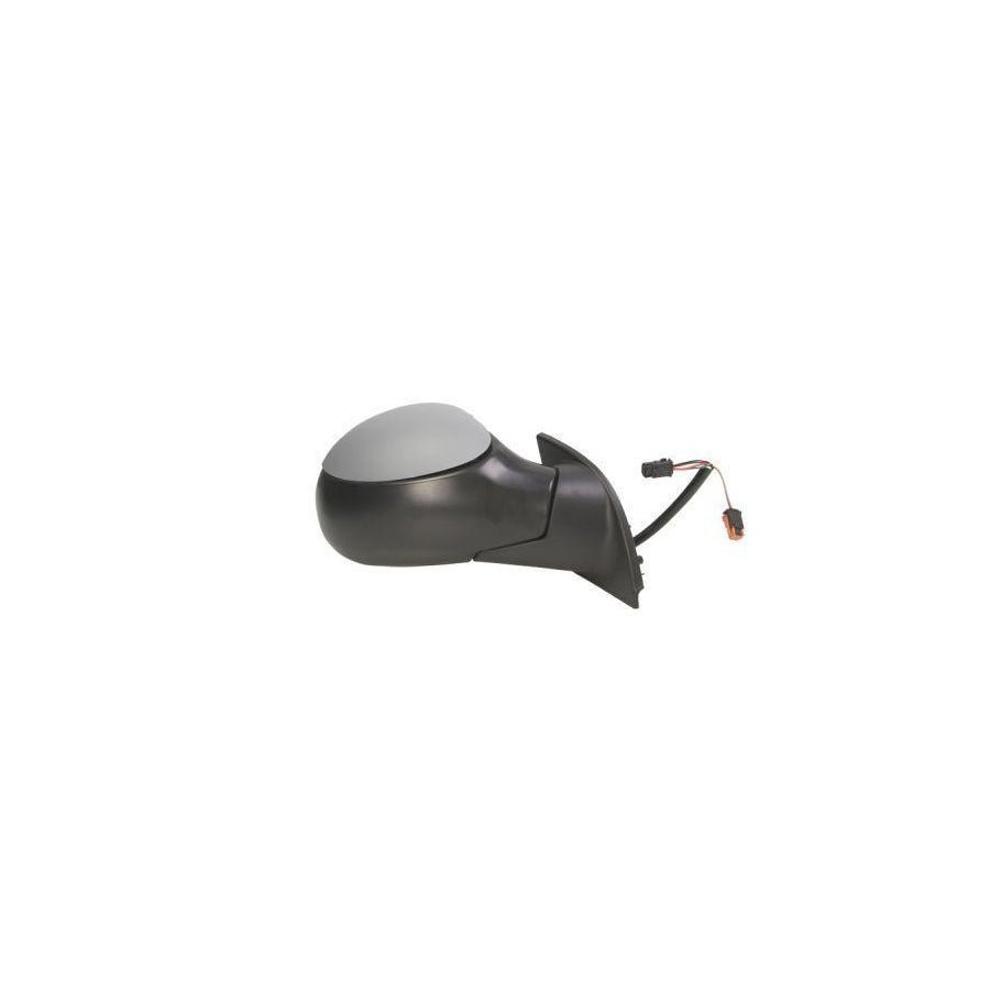 Blic 5402-04-1128851 Wing Mirror for Citroen C3 I Hatchback (Fc, Fn)