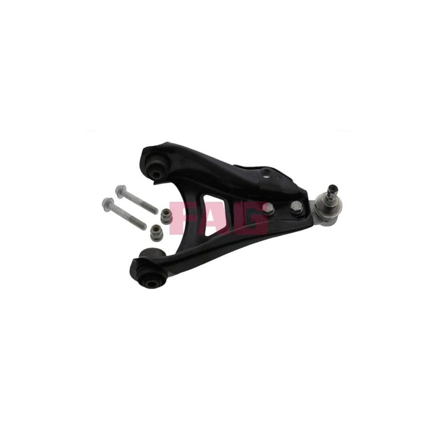 FAG 821 0313 10 Suspension Arm For Renault Clio