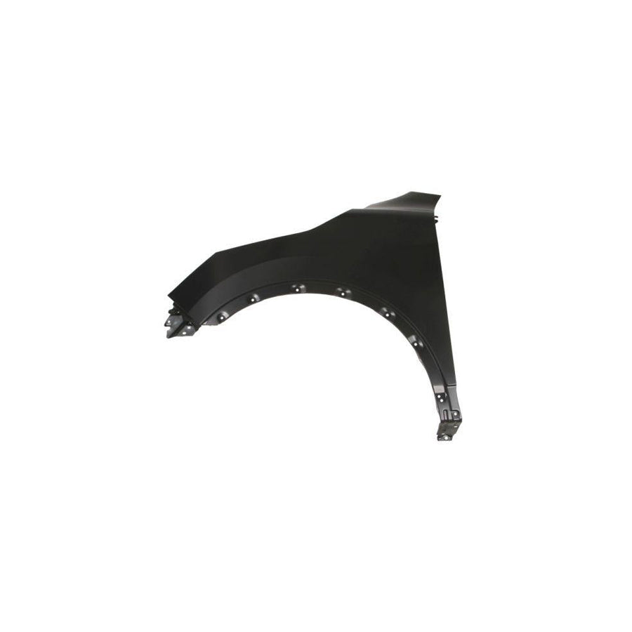 Blic 6504-04-1617315P Wing Fender for Nissan Qashqai II (J11)