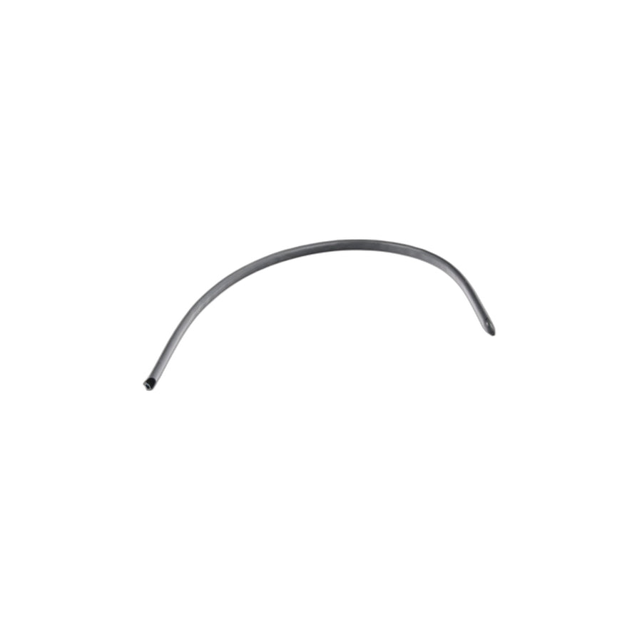 Genuine BMW 51767439317 F48 Joint Sealing Entrance Door Front Left (Inc. X1 25dX, X1 28i & X1 18dX)