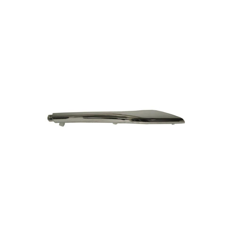 Blic 5703-05-1621971P Bumper Moulding