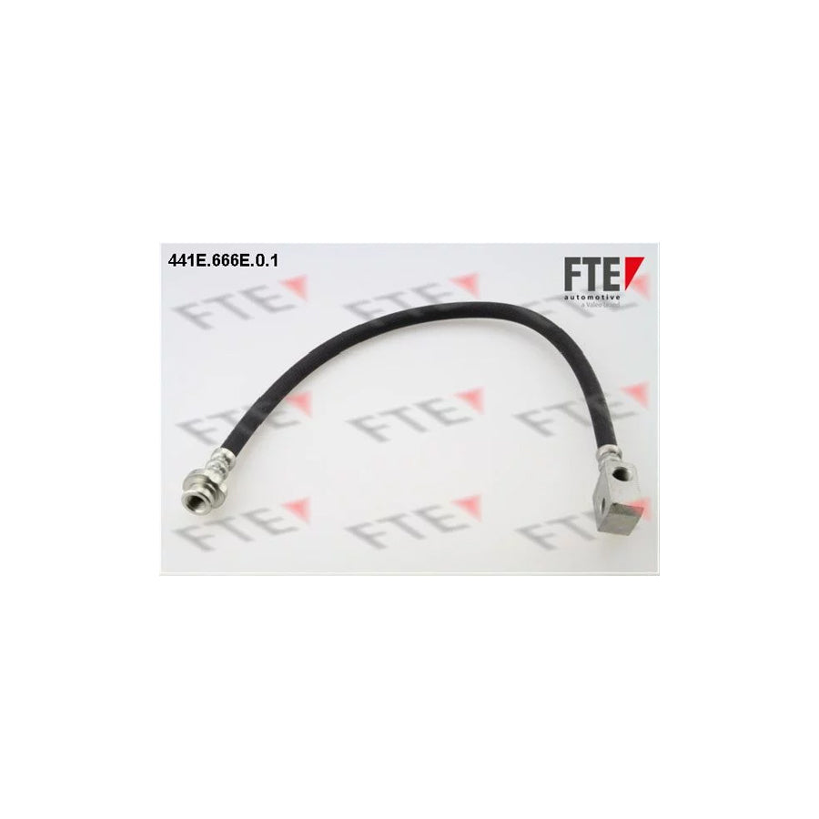 FTE 441E.666E.0.1 Brake Hose