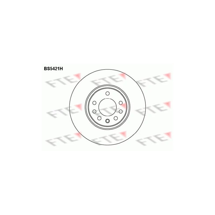 FTE Bs5421H Brake Disc