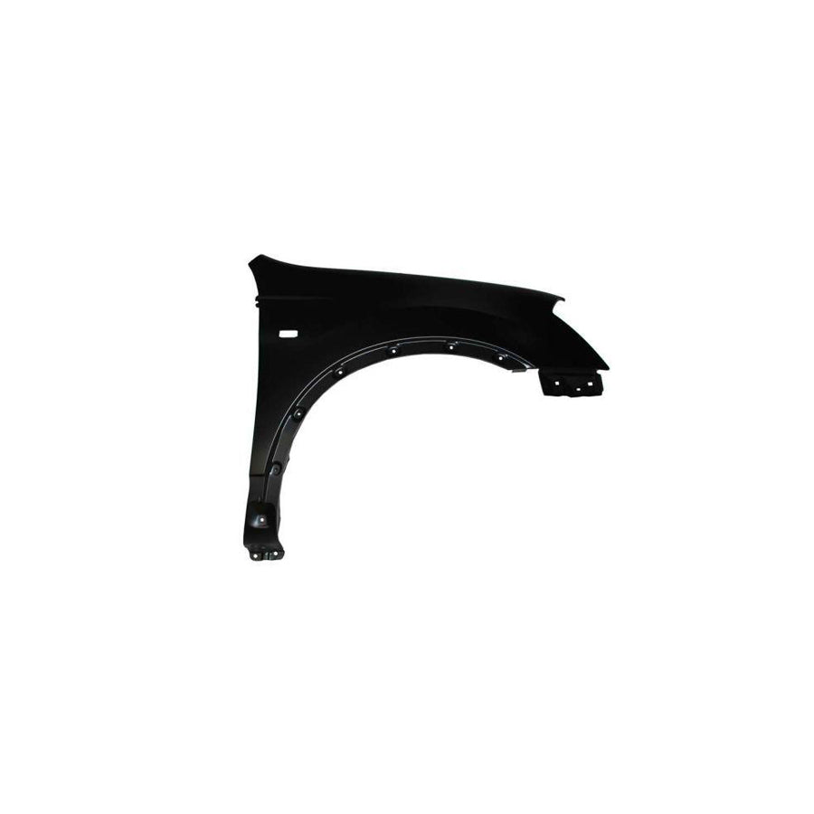 Blic 6504-04-1617312P Wing Fender for Nissan Qashqai / Qashqai 2 I (J10, Nj10)