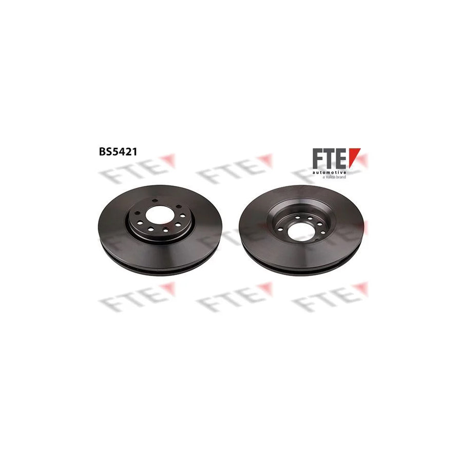 FTE Bs5421 Brake Disc