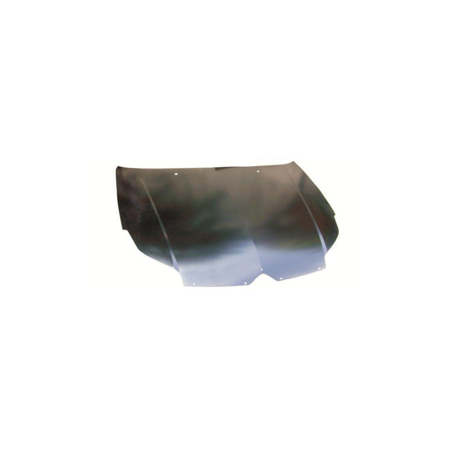 Blic 6803-00-0524281P Bonnet for Citroen C5