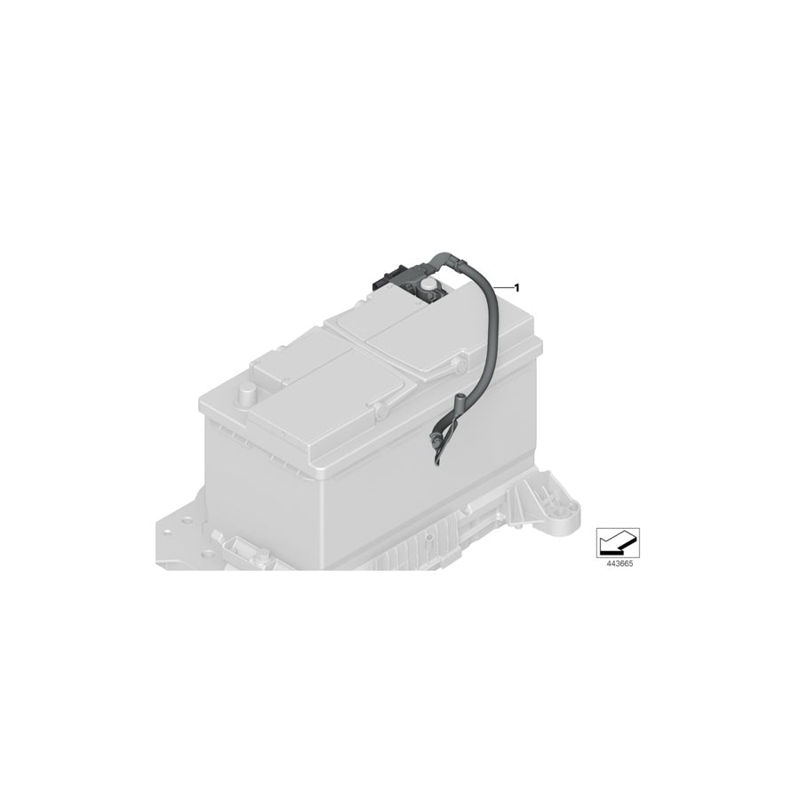 Genuine BMW 61219442117 F40 F44 Battery Cable, Negative, Ibs (Inc. 120dX, 118i & 228iX)