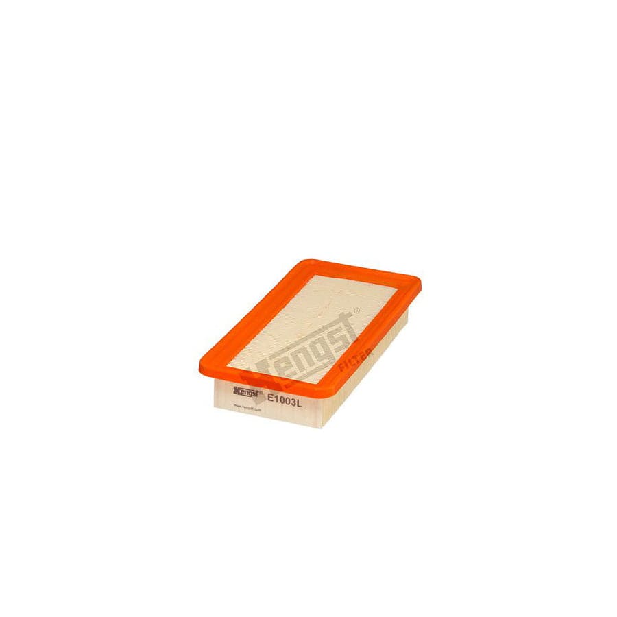 Hengst Filter E1003L Air Filter For Hyundai Getz (Tb)