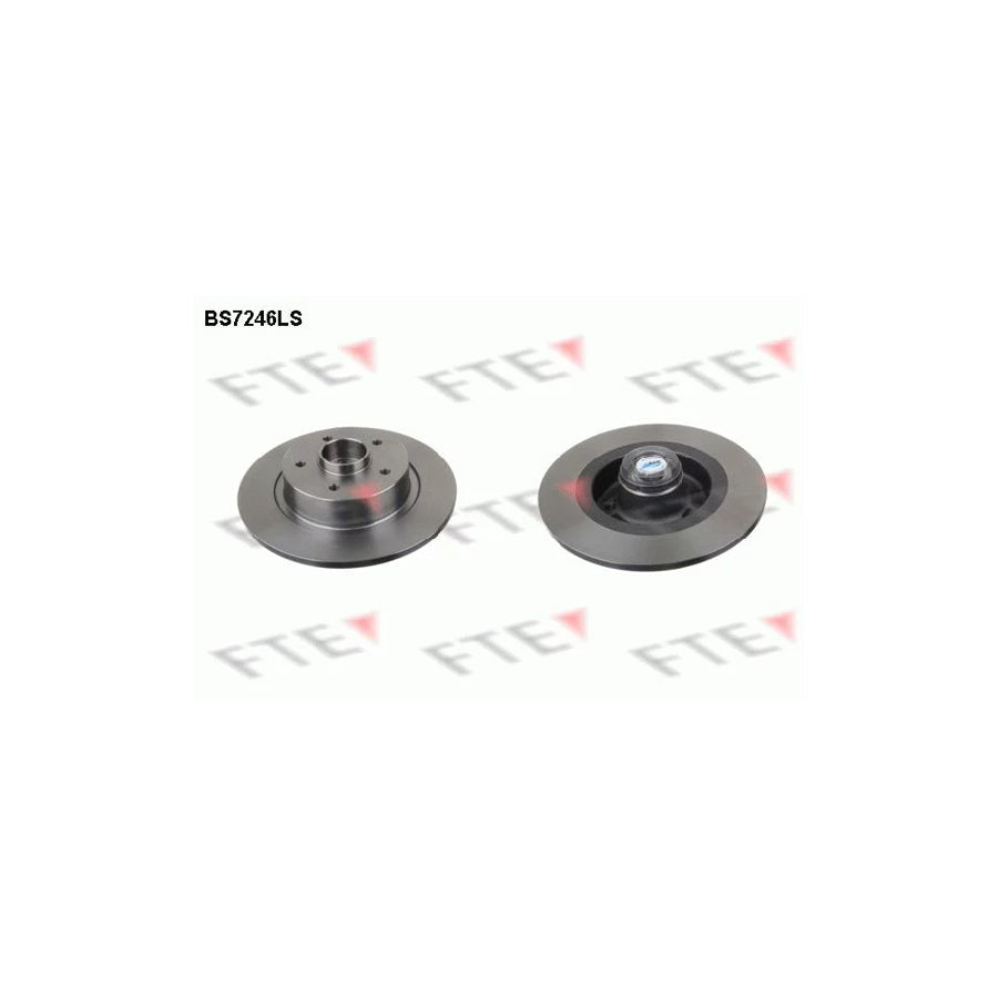 FTE 9071398 Brake Disc