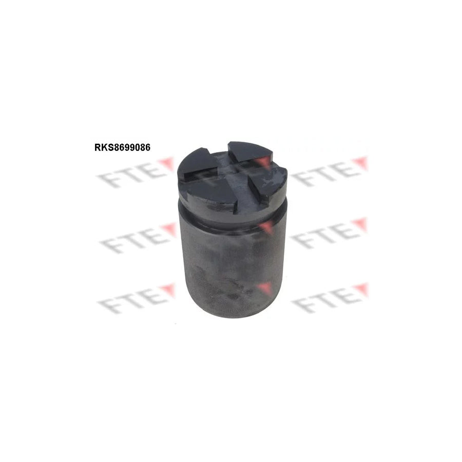 FTE 9313109 Piston, Brake Caliper
