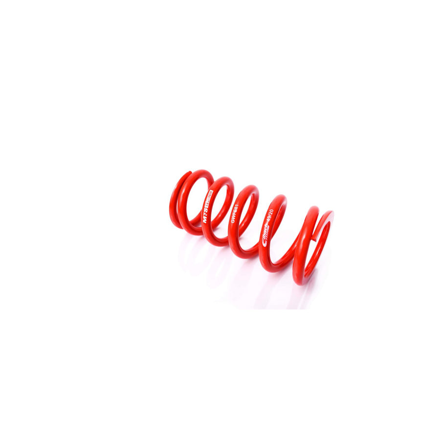 MTS Technik Audi BMW Infiniti Lexus Mini Nissan Opel Seat Skoda Volkswagen Coil Spring - GWFE81 Spare Parts | ML Performance UK Car Parts