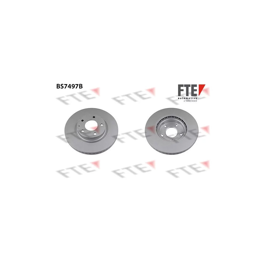 FTE 9081306 Brake Disc