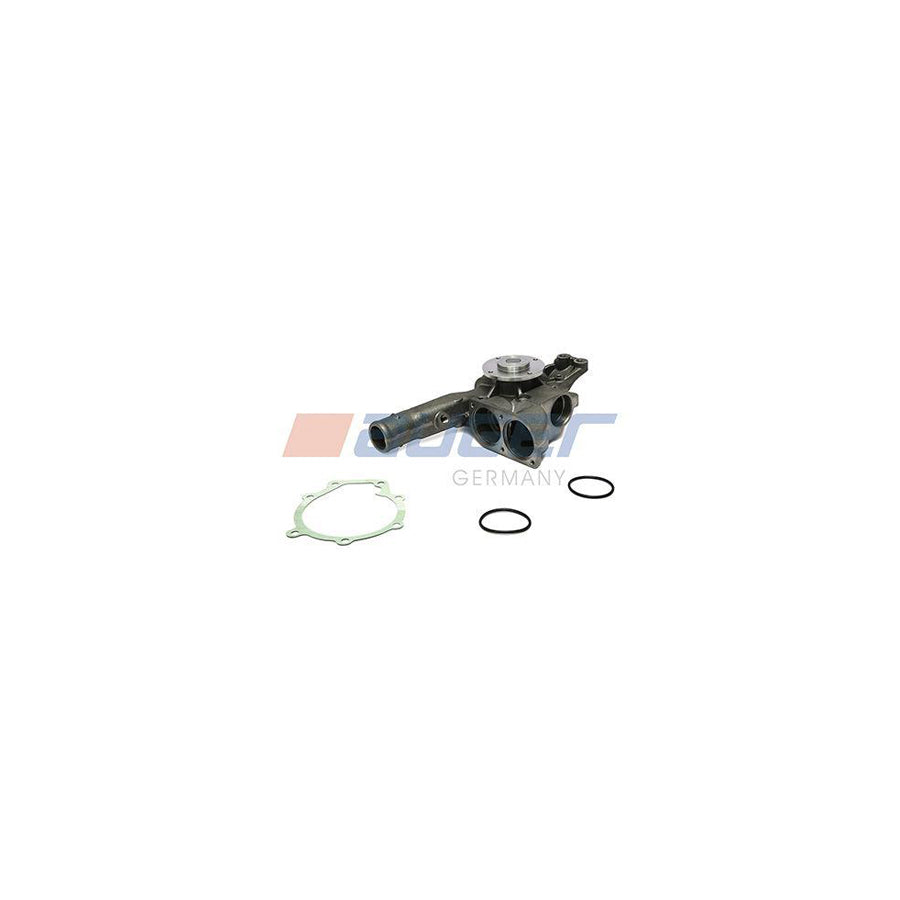 Auger 57677 Water Pump