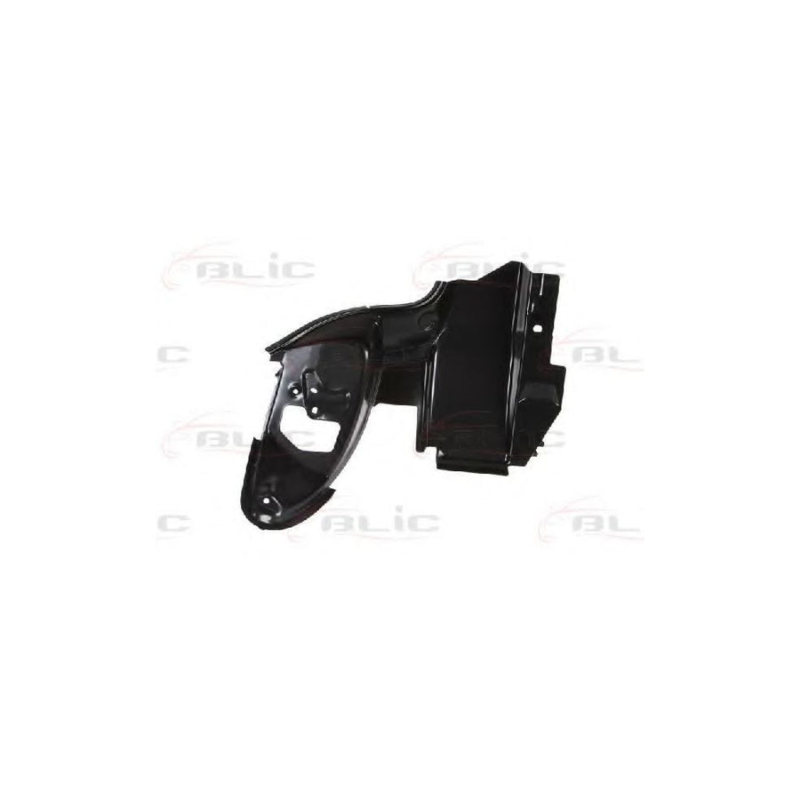 Blic 6503-05-5507672P Headlight Base for Peugeot 206