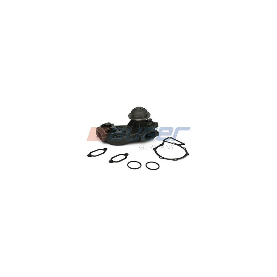 Auger 57671 Water Pump