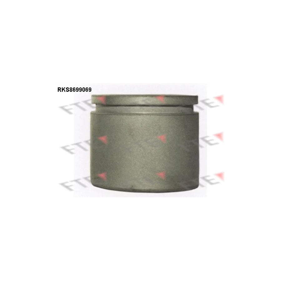FTE 9313107 Piston, Brake Caliper