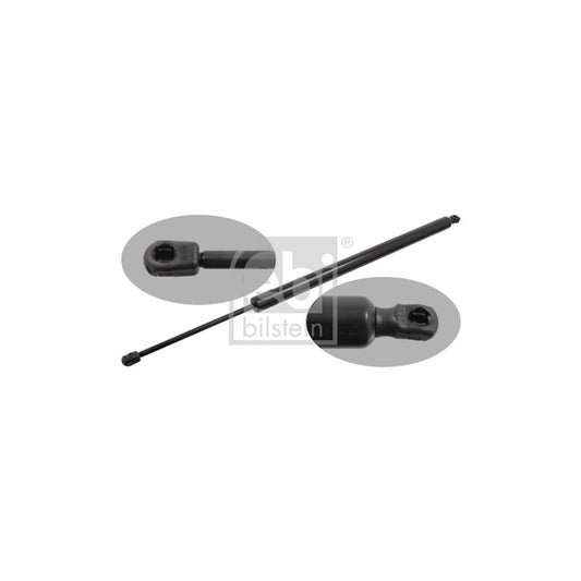 Febi Bilstein 29442 Tailgate Strut