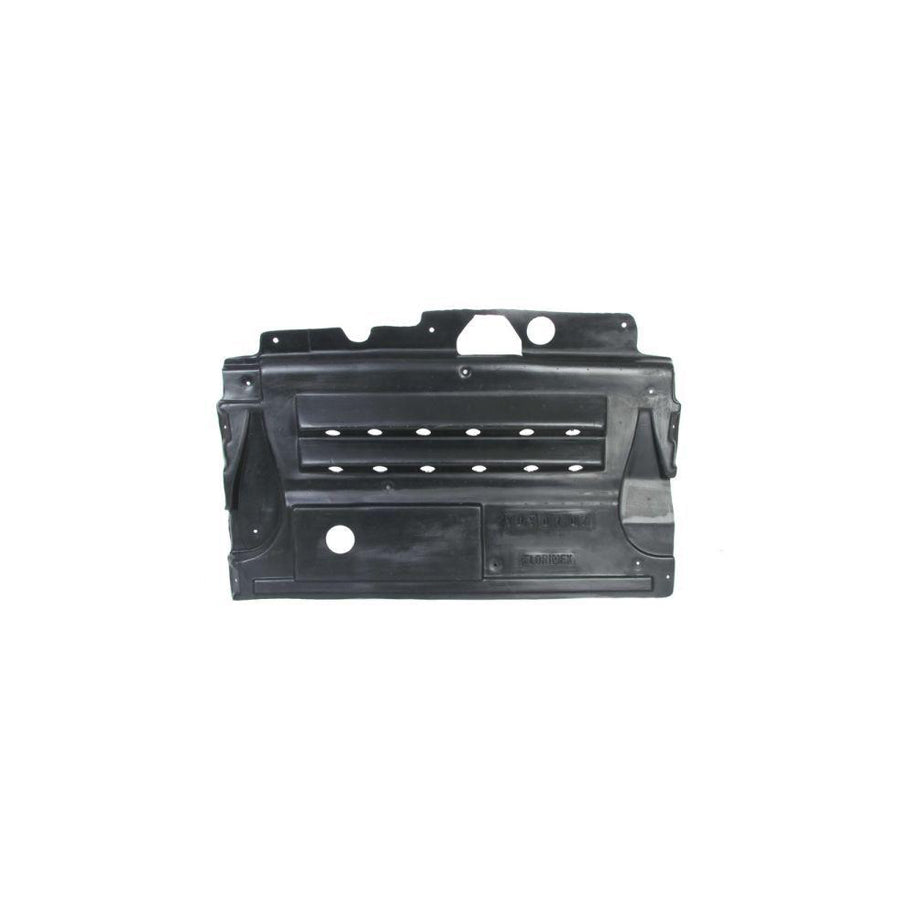 Blic 6601-02-0913860P Engine Cover for Chrysler Voyager IV (Rg, Rs)