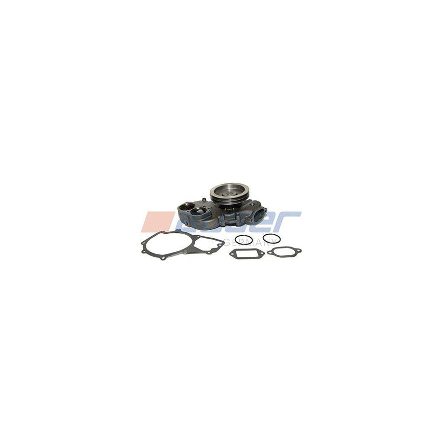 Auger 57697 Water Pump