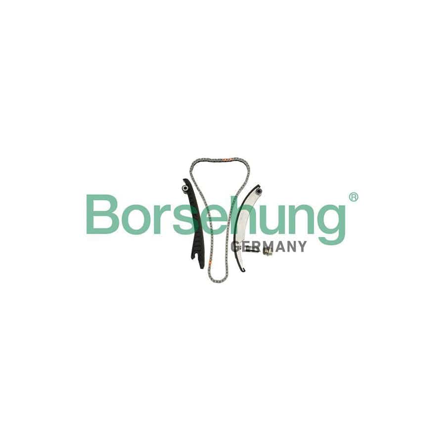 Borsehung B18856 Timing Chain Kit