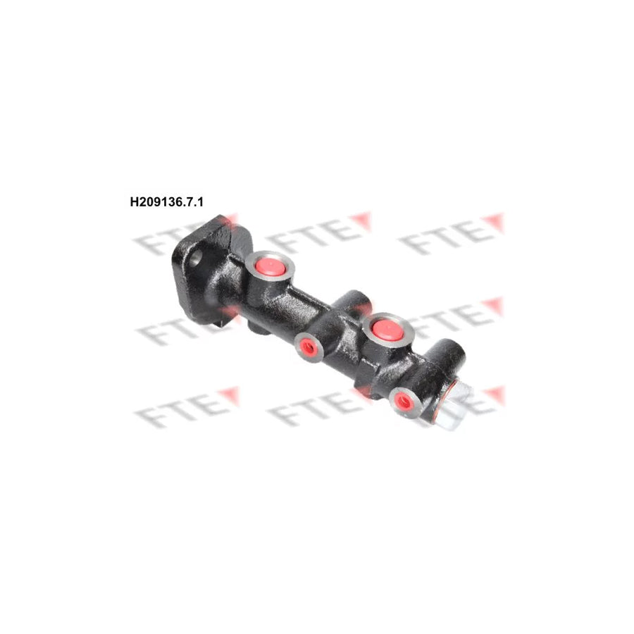 FTE H209136.7.1 Brake Master Cylinder
