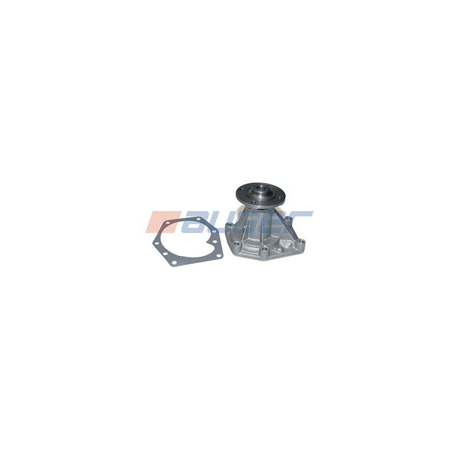 Auger 57765 Water Pump