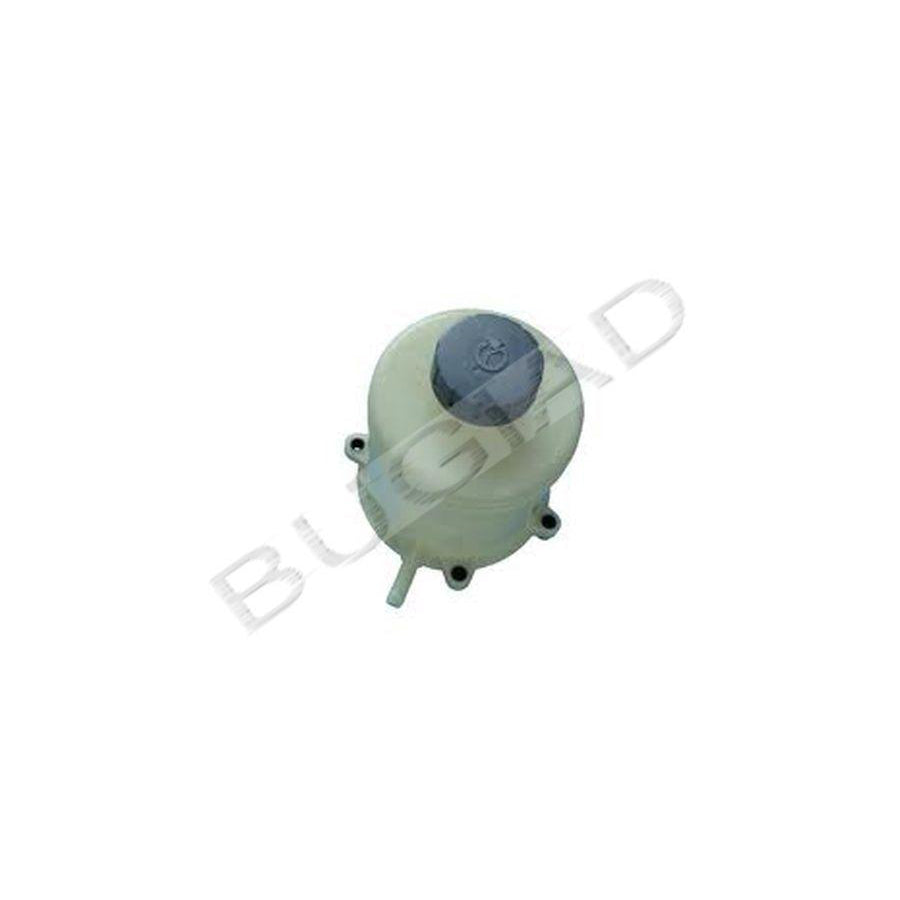 BUGIAD Bsp21828 Expansion Tank, Power Steering Hydraulic Oil for Seat Ibiza III Hatchback (6L)