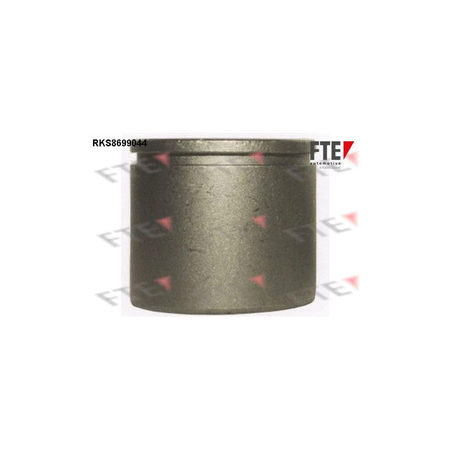 FTE 9313102 Piston, Brake Caliper