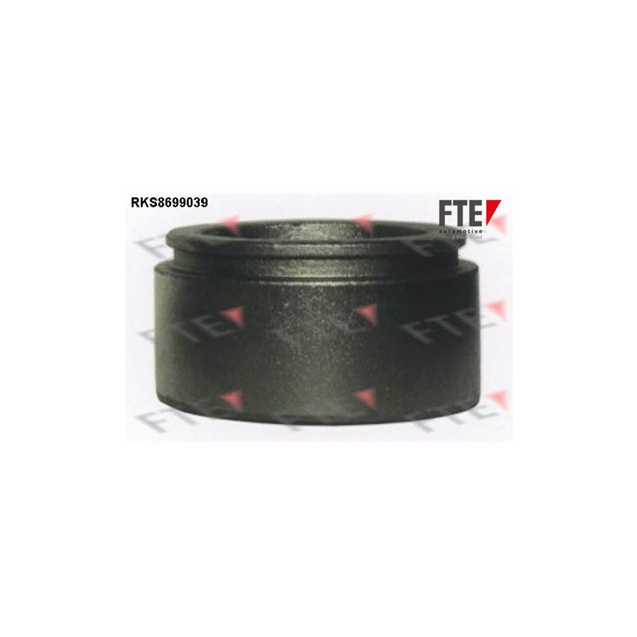 FTE 9313101 Piston, Brake Caliper
