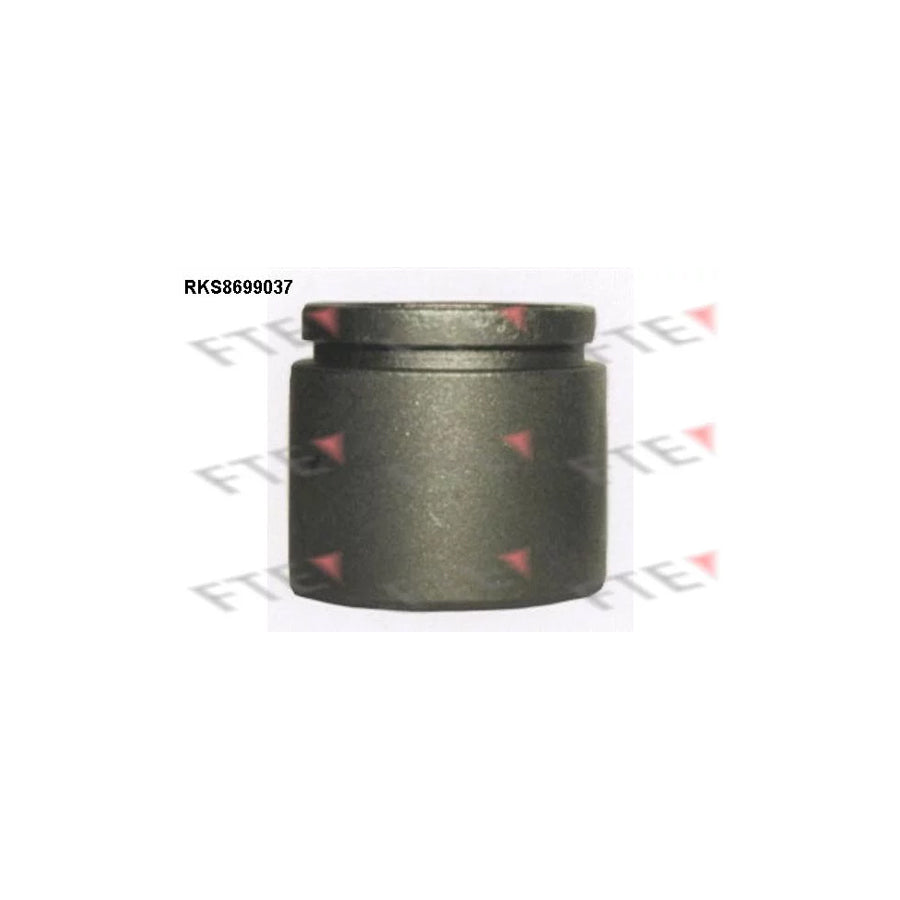 FTE 9313100 Piston, Brake Caliper