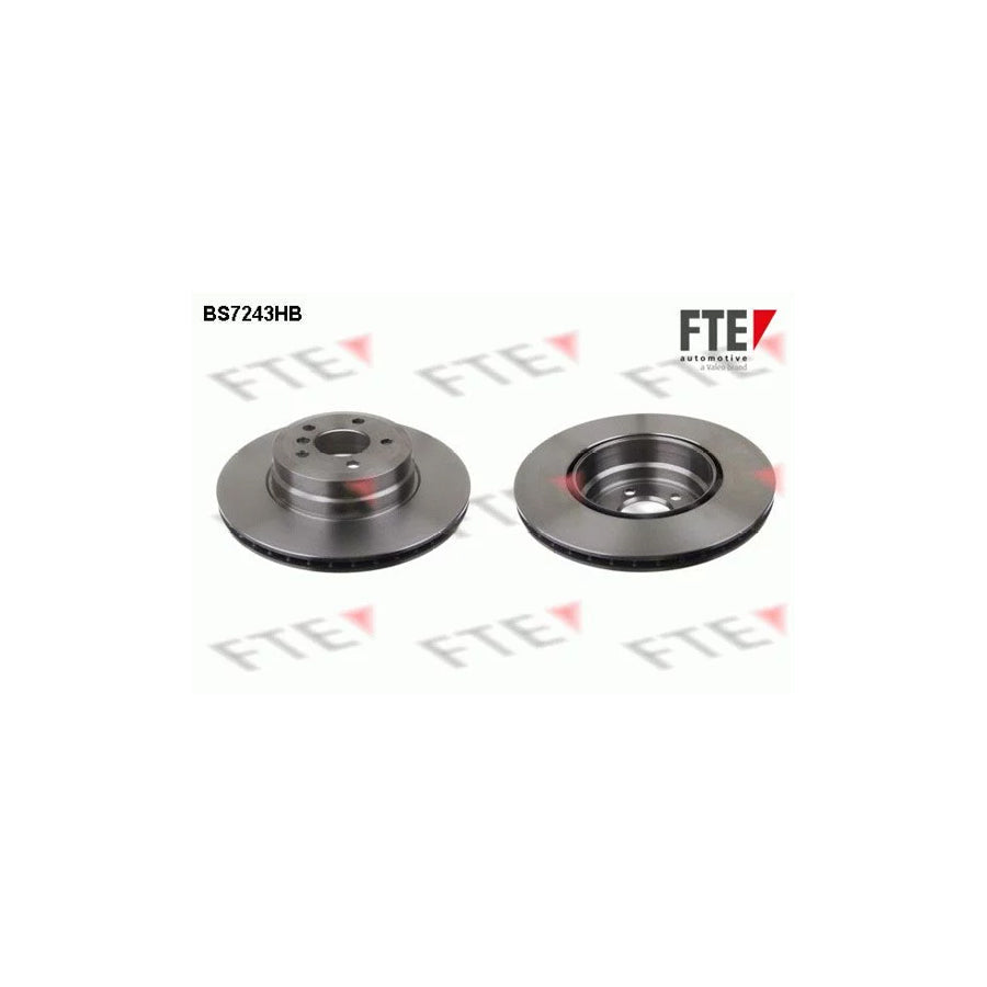 FTE 9081326 Brake Disc