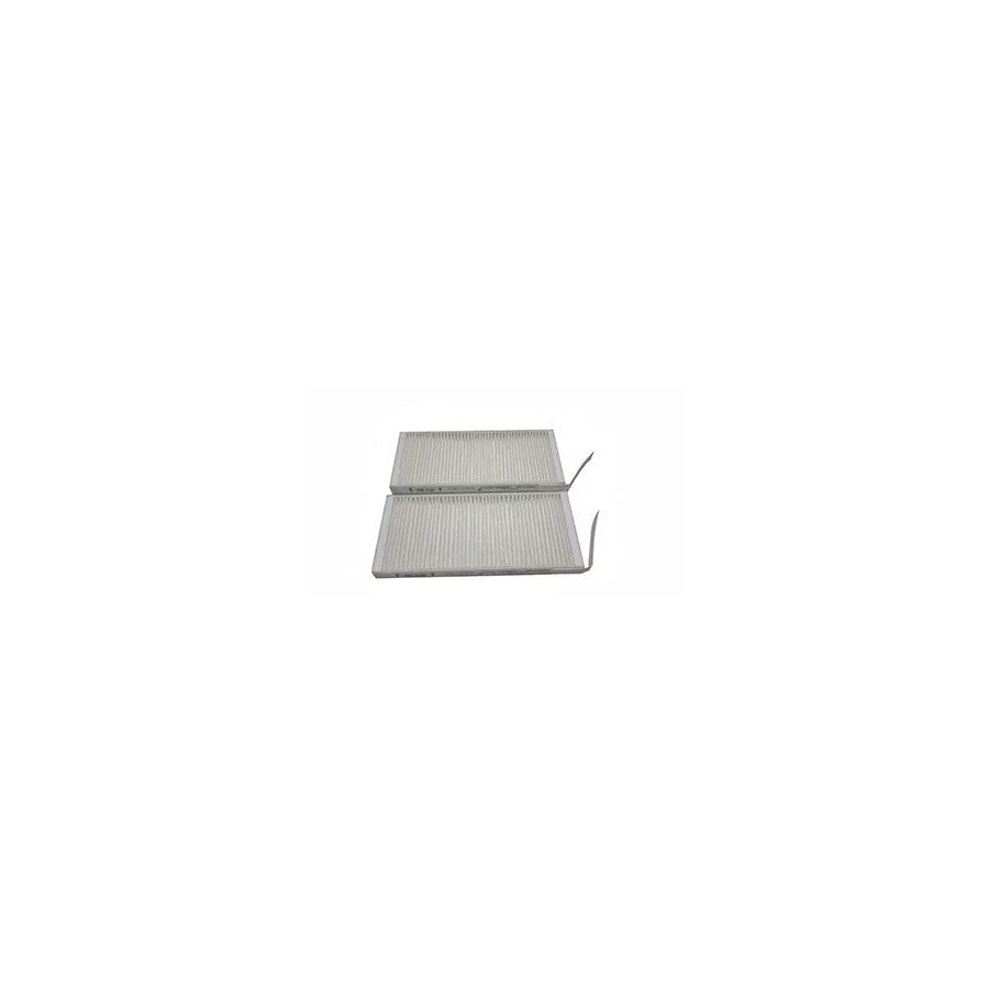Fleetguard Af55842 Pollen Filter