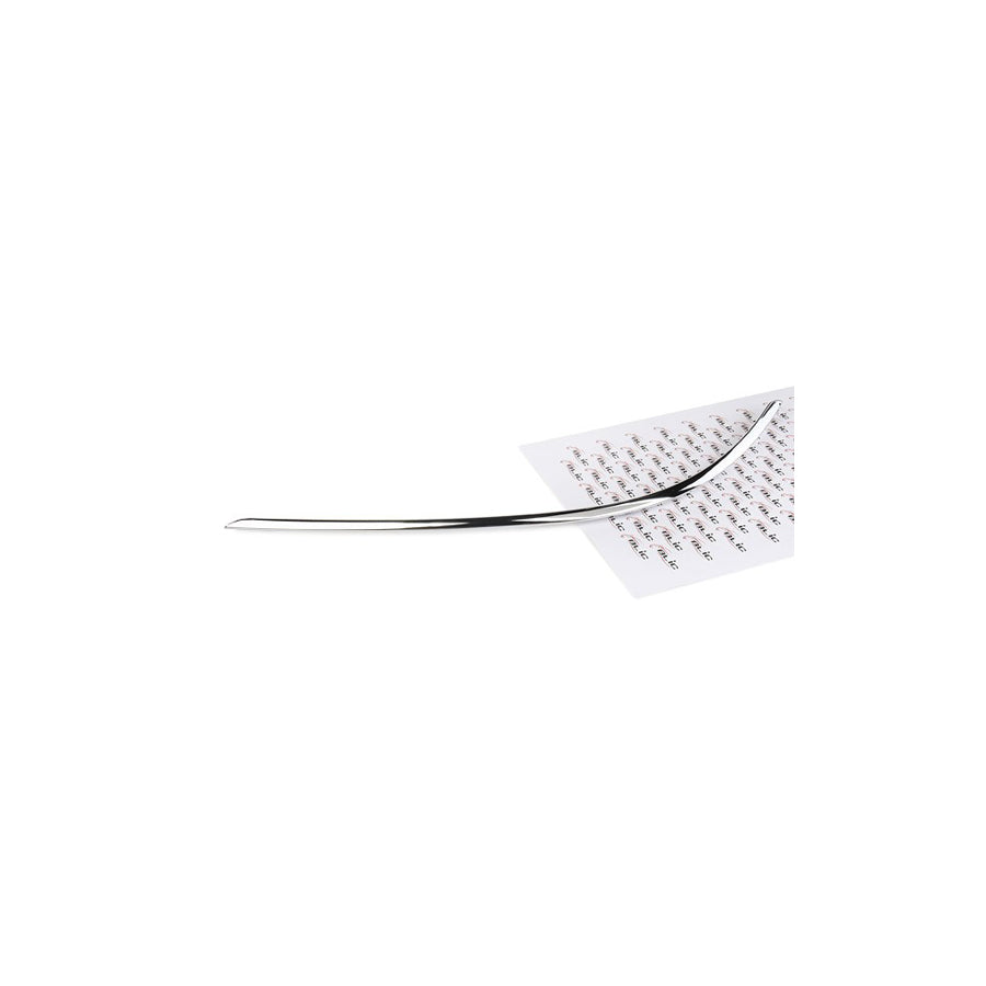 Blic 6502-07-3518923P Bumper Moulding Suitable for Mercedes-Benz C-Class