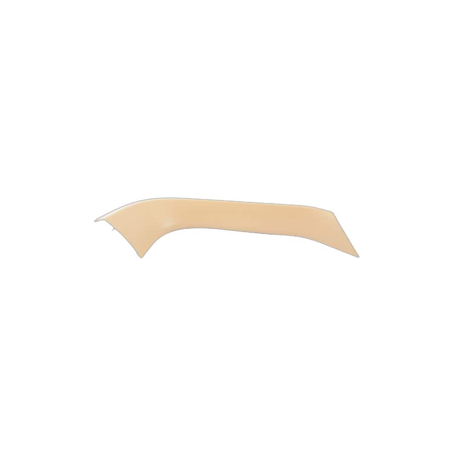 Genuine BMW 51497172128 E70 Right Panel Tail Lid SAVANNABEIGE (Inc. X5)