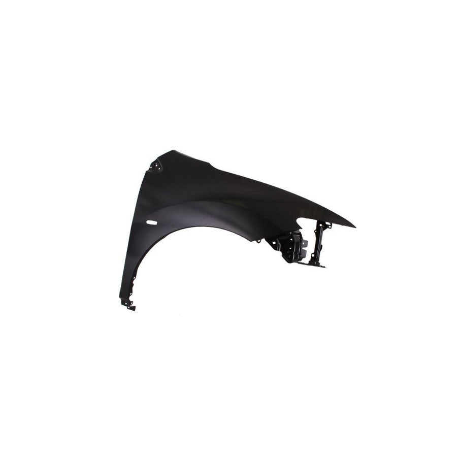 Blic 6504-04-1619314P Wing Fender for Nissan Murano II (Z51)