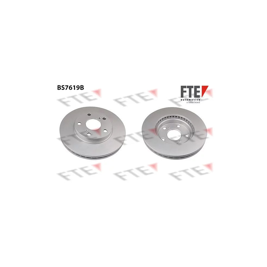 FTE Bs7619B Brake Disc