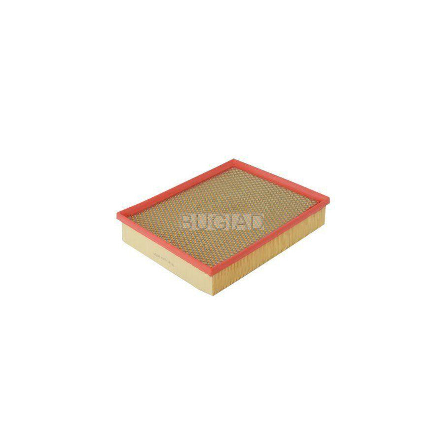 BUGIAD Bsp23715 Air Filter for VW Amarok Pickup (2Ha, 2Hb, S1B, S6B, S7A, S7B)