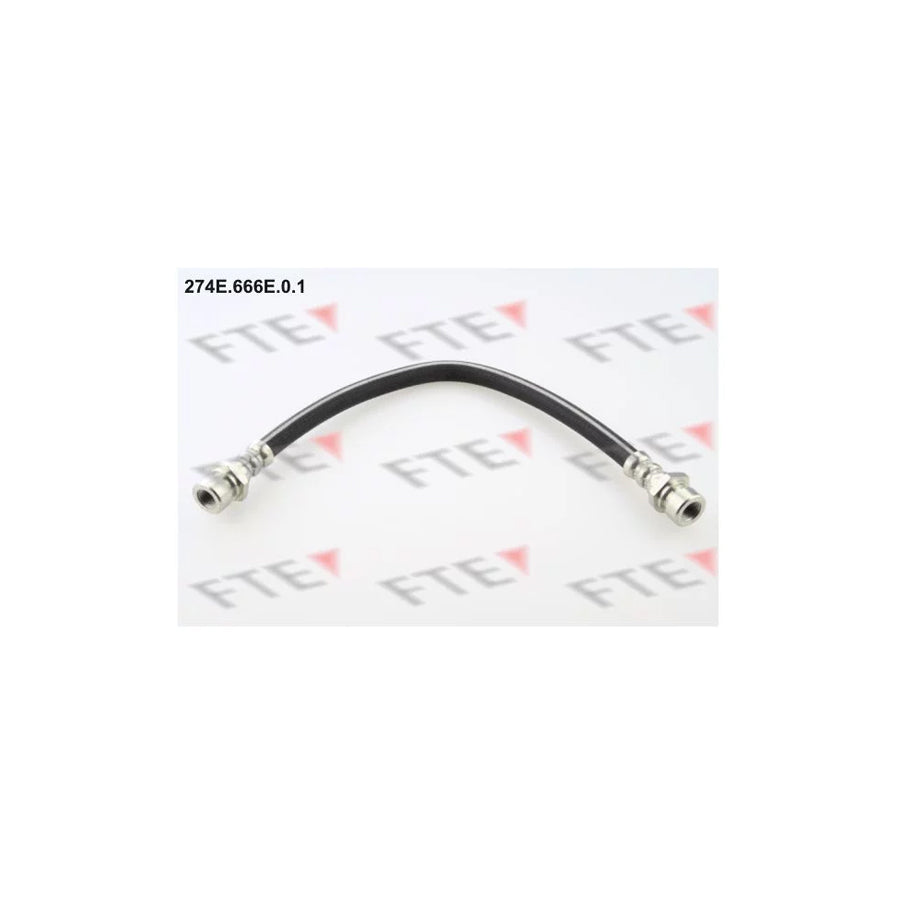 FTE 274E.666E.0.1 Brake Hose