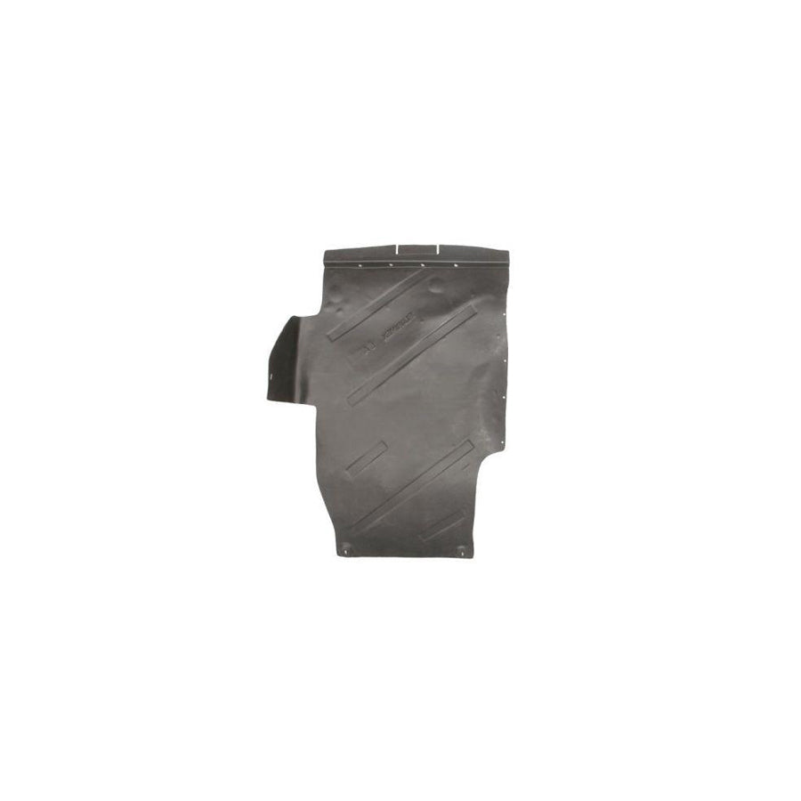 Blic 6601-02-1106860P Engine Cover for Daewoo Lanos