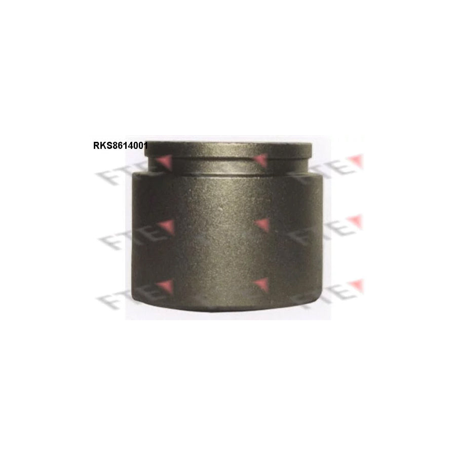 FTE 9313124 Piston, Brake Caliper for Suzuki Grand Vitara I Off-Road (Ft, Ht)