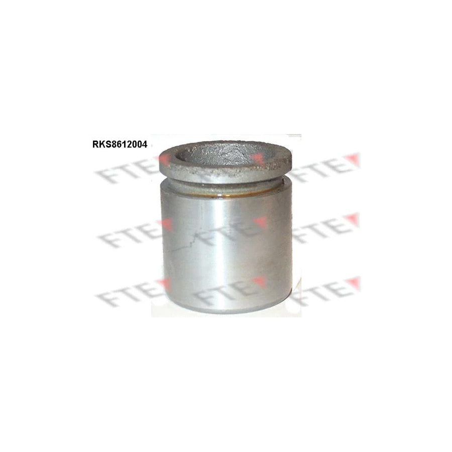 FTE 9313120 Piston, Brake Caliper