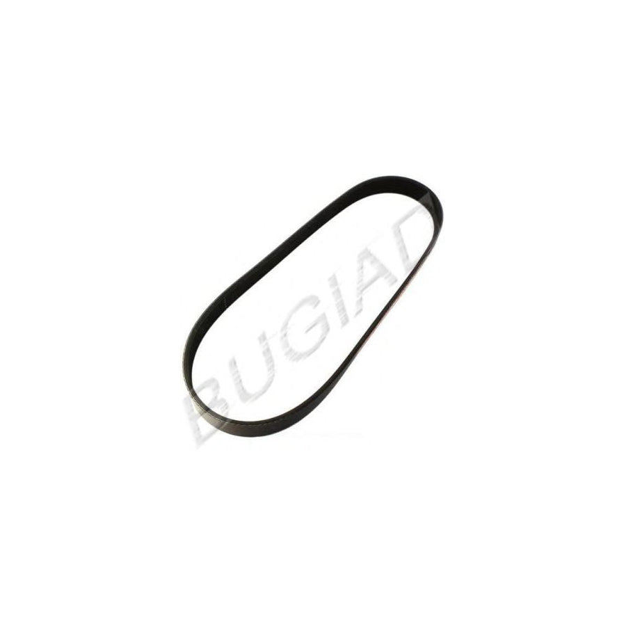 BUGIAD Bsp21854 V-Ribbed Belt