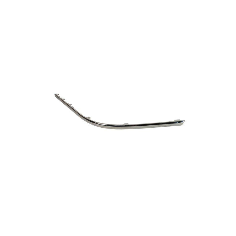 Blic 5513-00-9540961P Bumper Moulding for VW Passat
