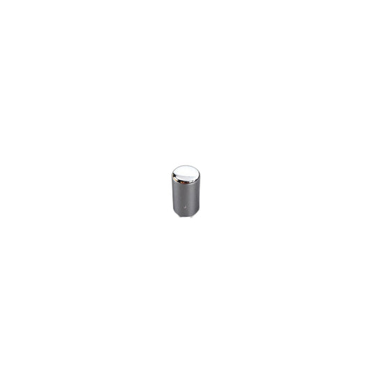 Genuine BMW 34411163199 E36 Chromium-Plated Push-Button (Inc. 325tds)