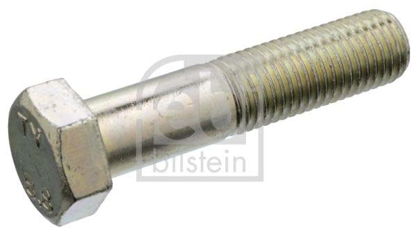 Febi Bilstein 12284 Screw | ML Performance UK Car Parts
