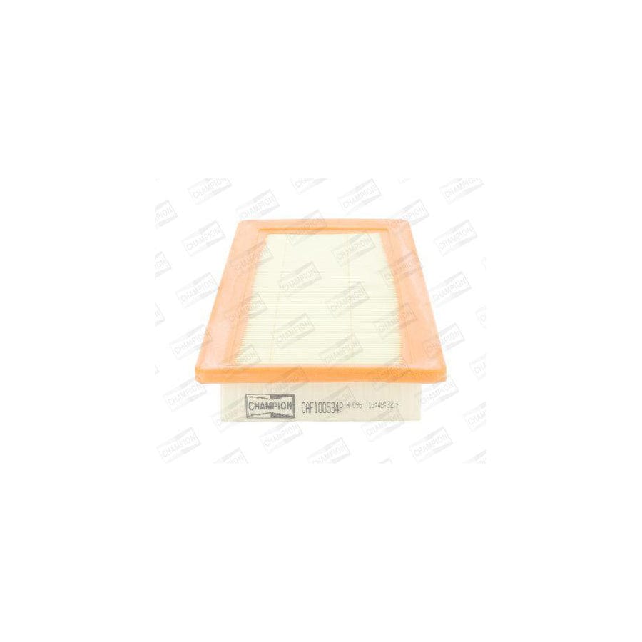 Champion Caf100534P Air Filter