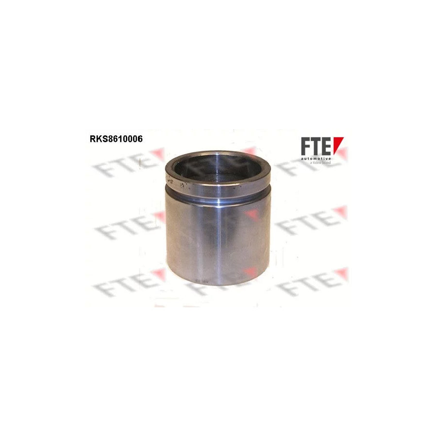 FTE 9313115 Piston, Brake Caliper